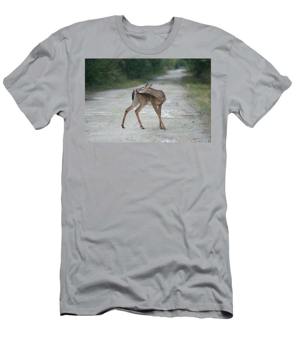 Deer T-Shirt featuring the photograph Bambi by Lindsey Floyd