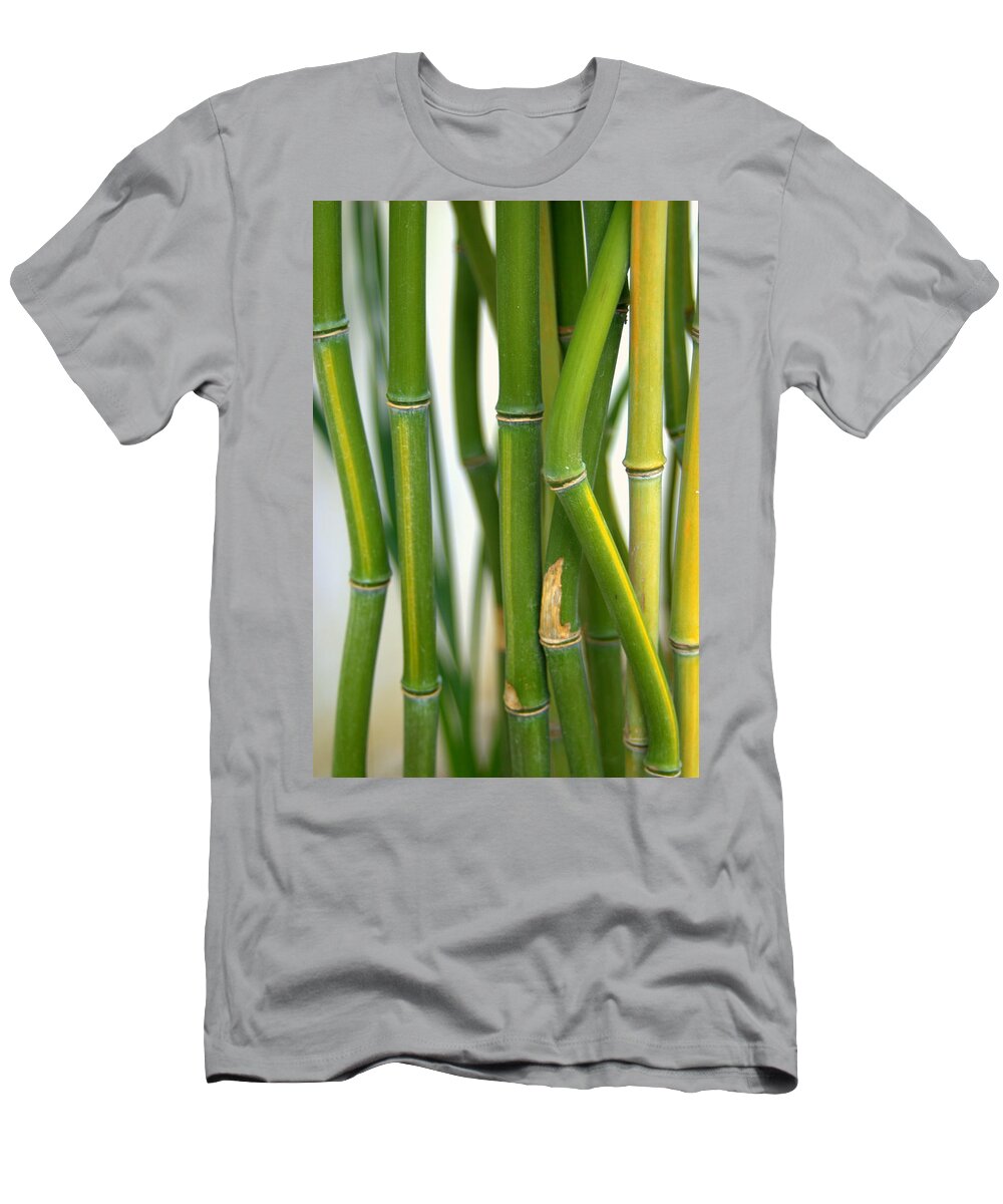 Bamboo T-Shirt featuring the photograph Bamboo Canes Yellow Groove by Nathan Abbott