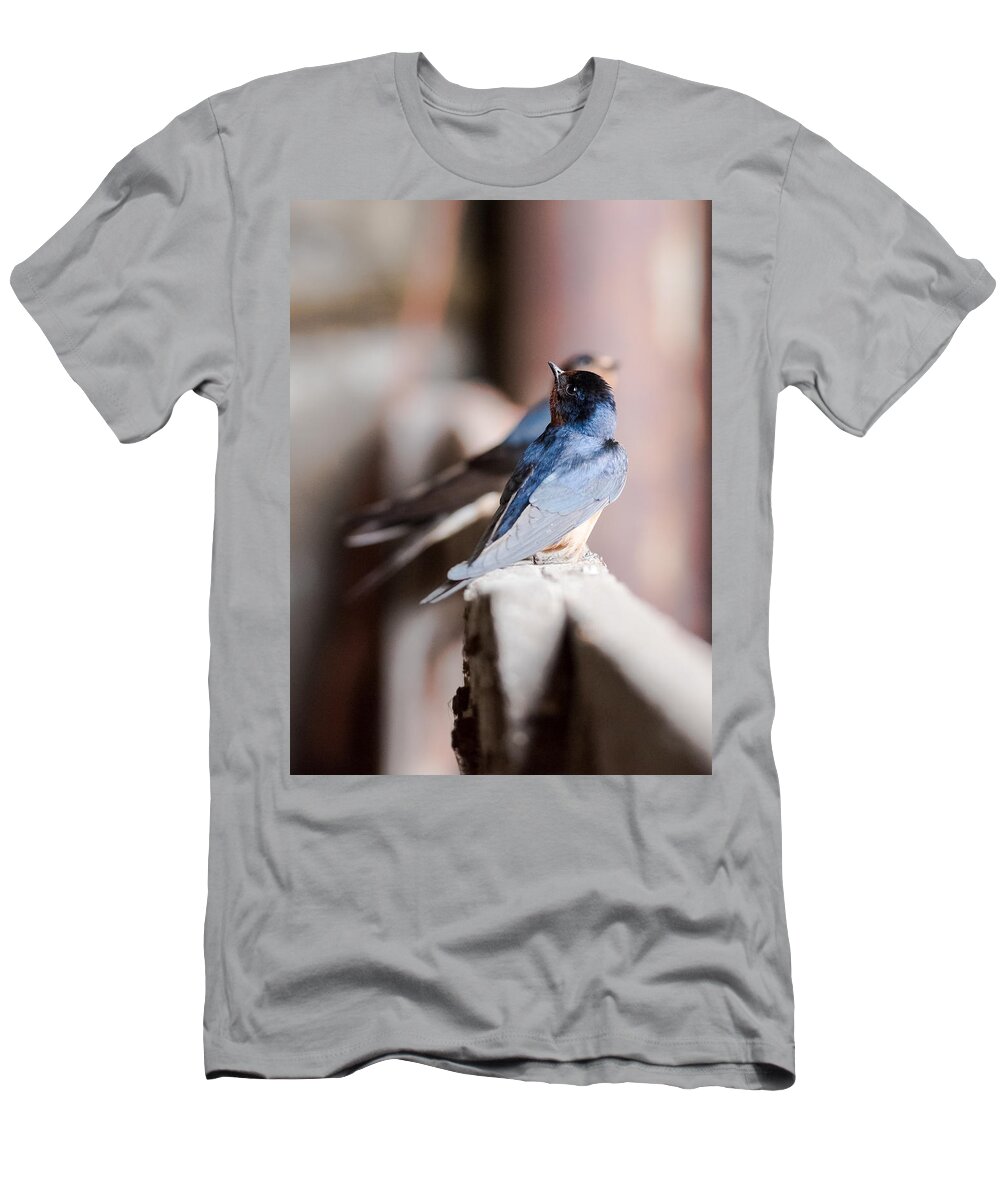 Barn Swallows T-Shirt featuring the photograph Barn Swallows by Holden The Moment