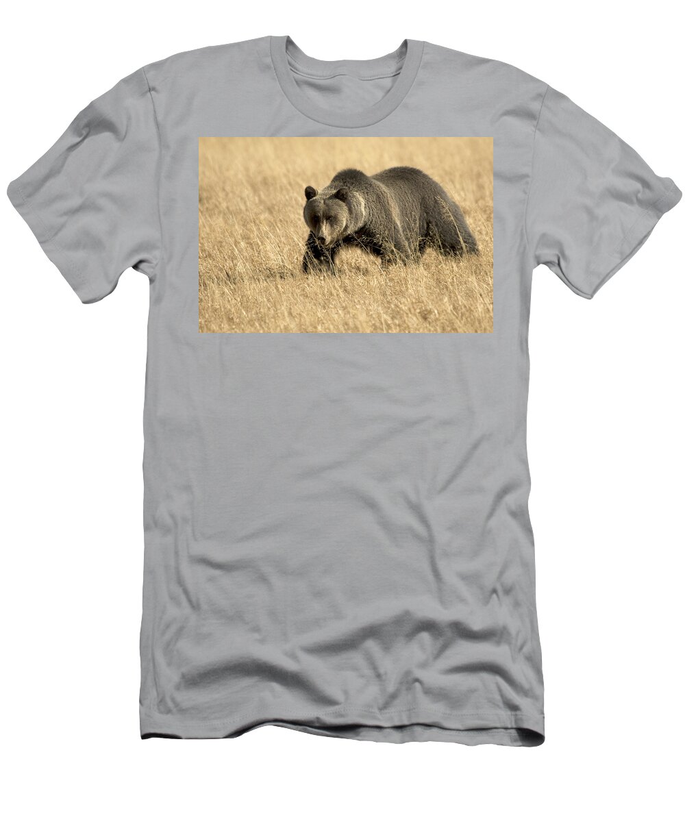 Bear T-Shirt featuring the photograph Bear On The Prowl by Gary Beeler