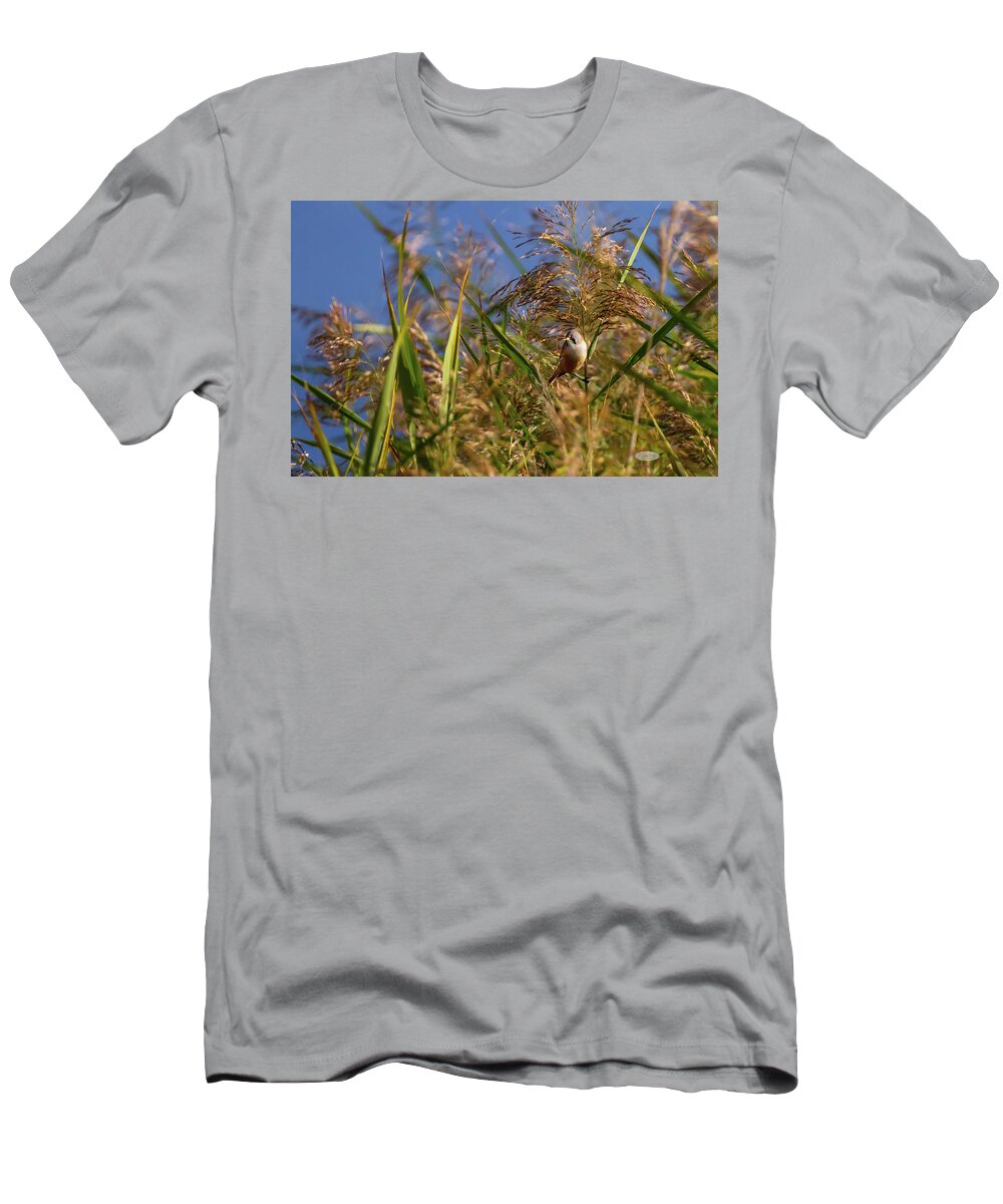 Bird T-Shirt featuring the photograph Bearded reedling, panurus biarmicus, in the reeds by Elenarts - Elena Duvernay photo