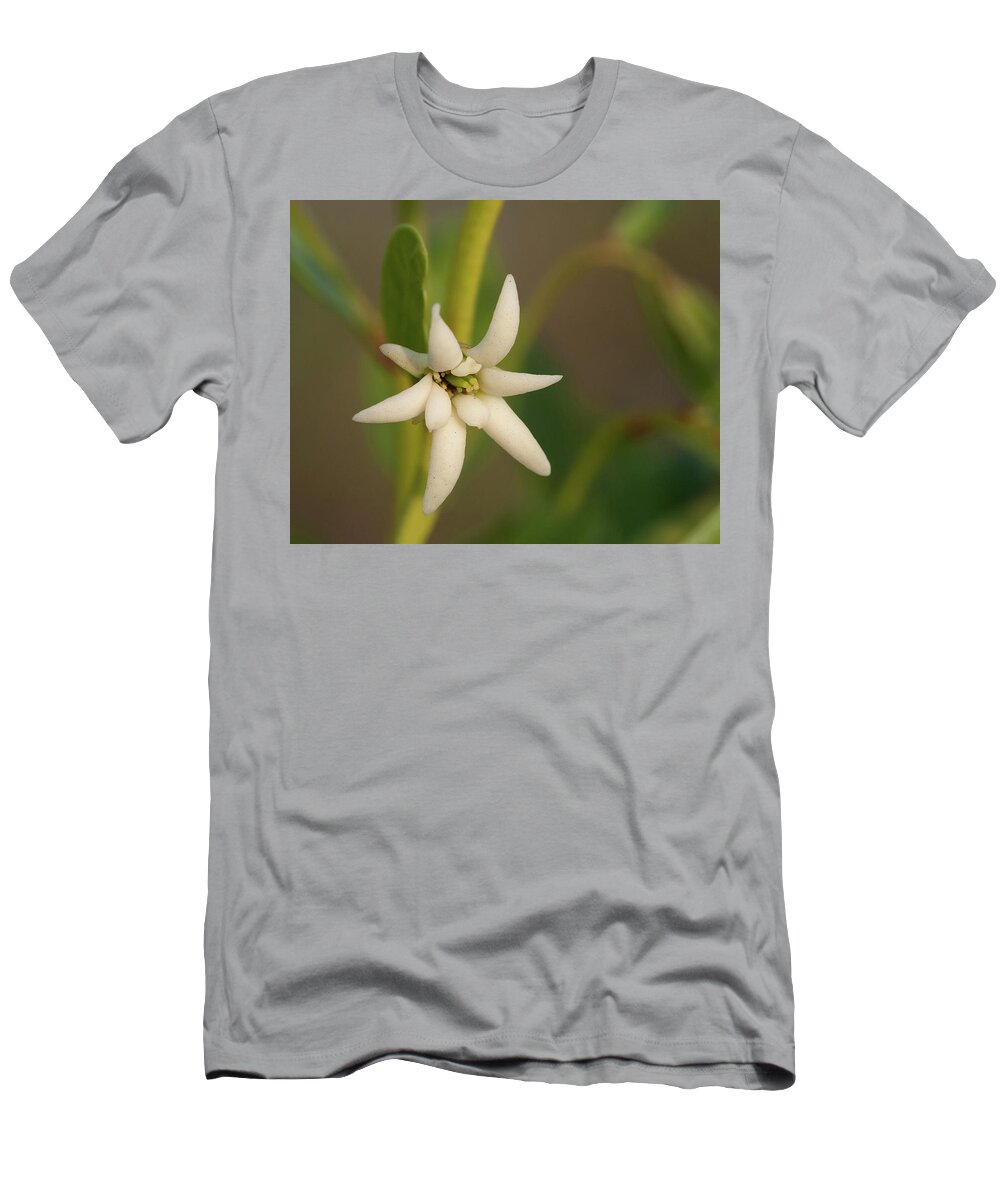 Pretty T-Shirt featuring the photograph Beautiful Pawpaw by Paul Rebmann