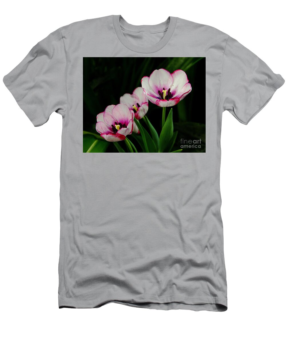 Flowers T-Shirt featuring the photograph Beauty Abounds by Allen Nice-Webb
