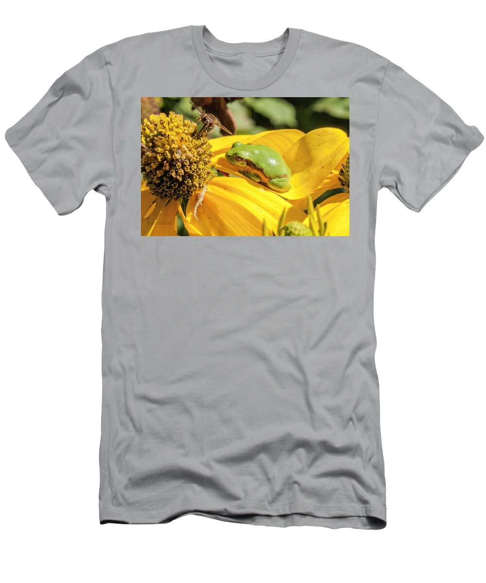  T-Shirt featuring the photograph Bee Frog Spider.... by Paul Vitko