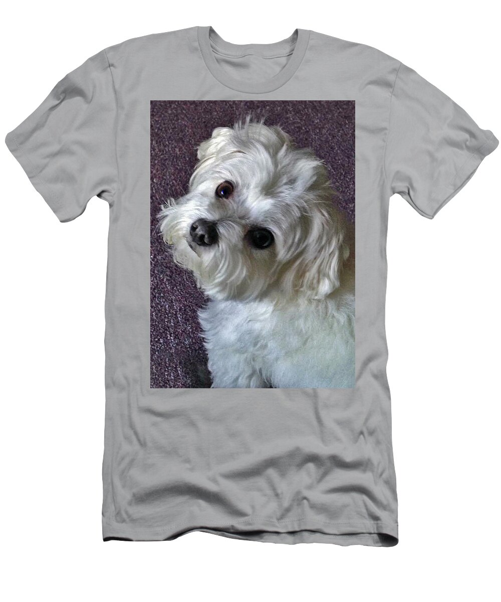  T-Shirt featuring the photograph Bentley by Bob Johnson