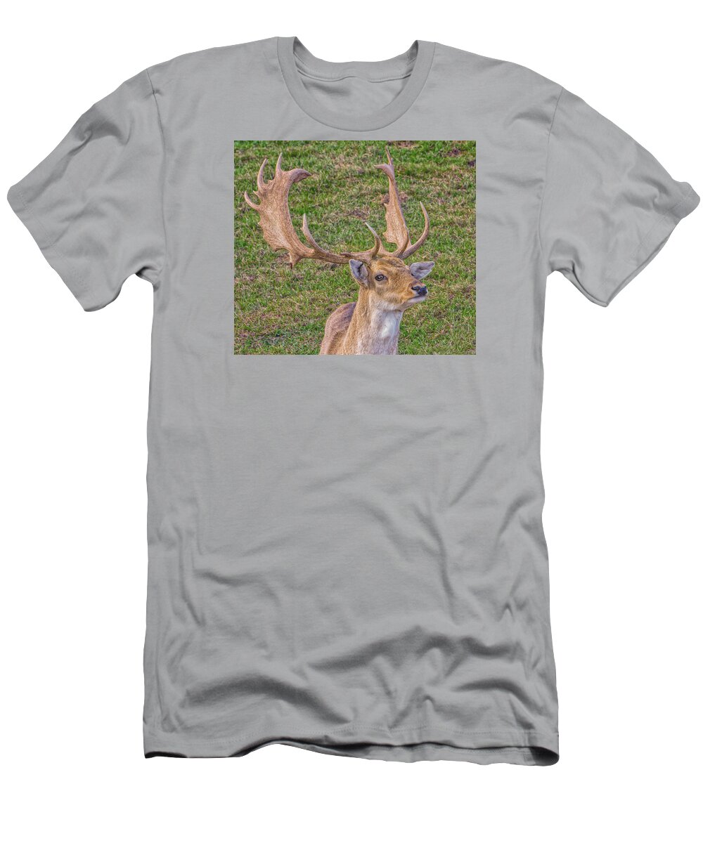 Deer T-Shirt featuring the photograph Big Buck by Dennis Dugan