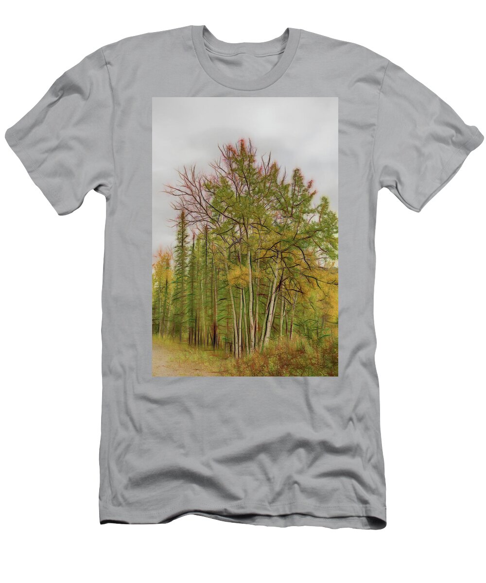 Digital Art T-Shirt featuring the photograph Birch Tree #1 by Patricia Dennis