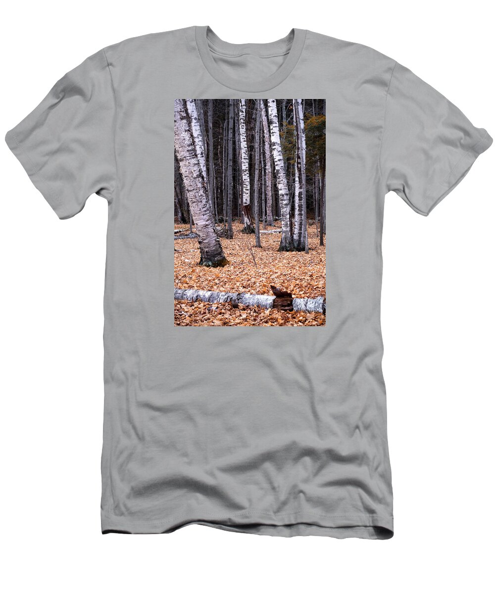 Sunset Lake Road West Brattleboro Vermont T-Shirt featuring the photograph Birch Trees by Tom Singleton