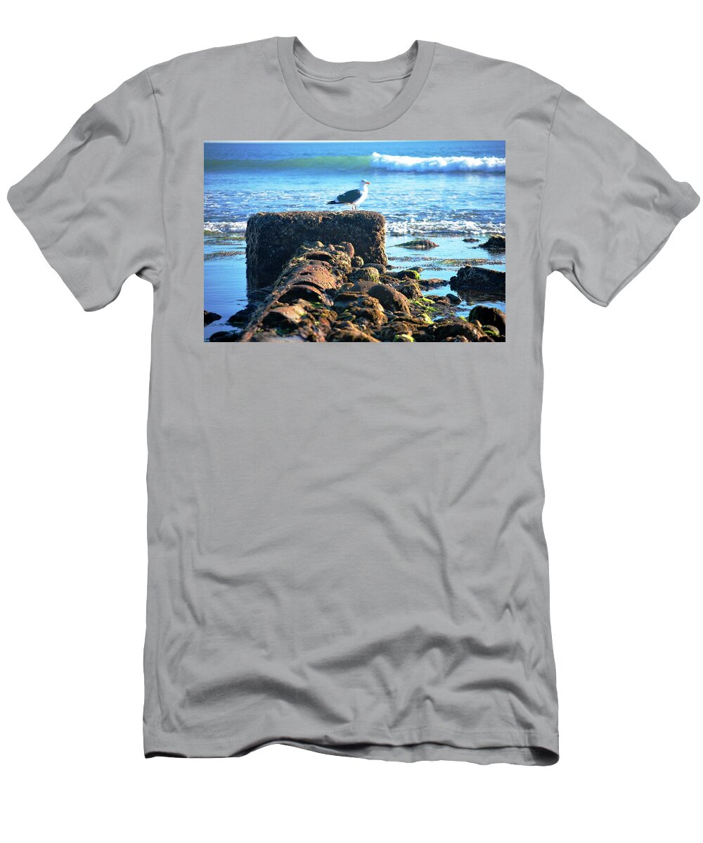 Bird T-Shirt featuring the photograph Bird on Perch at Beach by Matt Quest