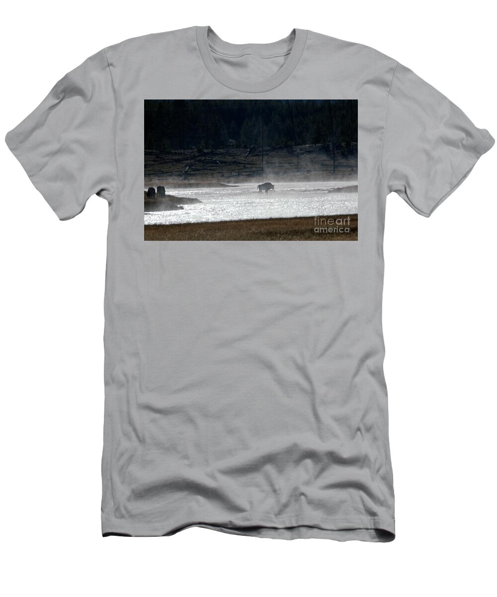 Bison T-Shirt featuring the photograph Bison in the river by Cindy Murphy - NightVisions