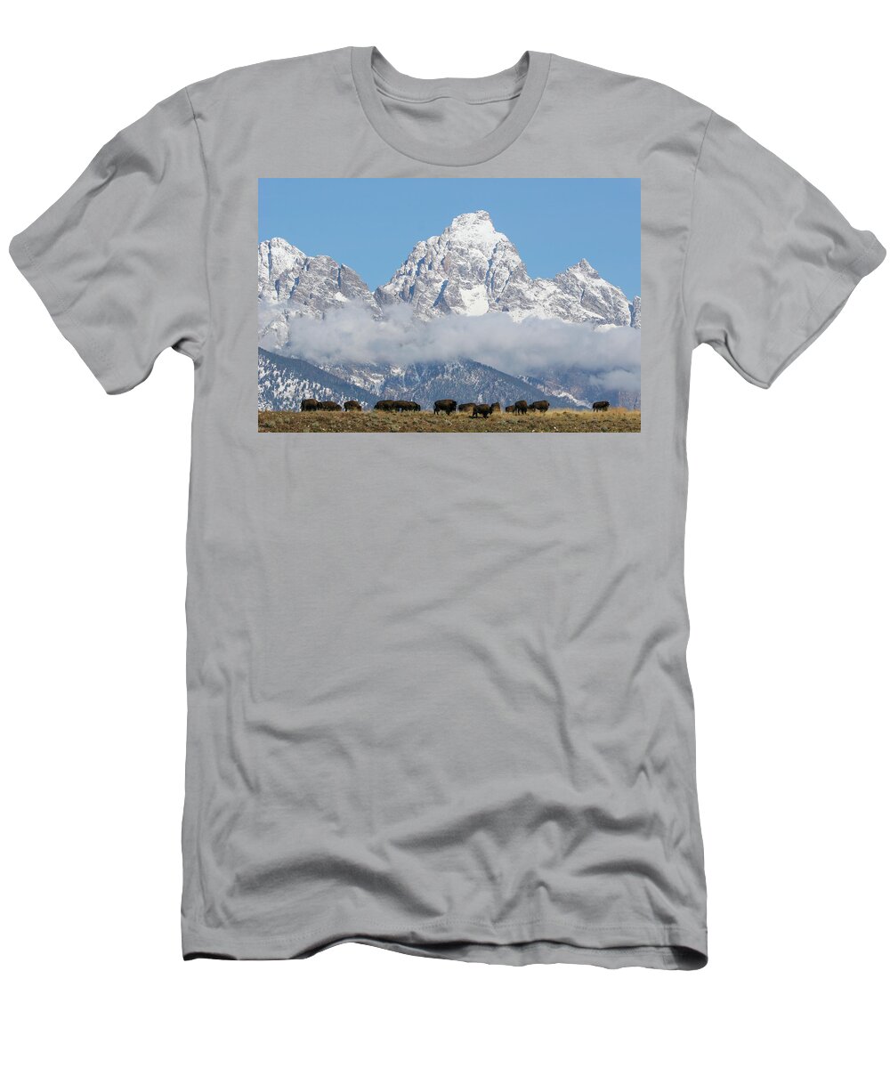 Bison T-Shirt featuring the photograph Bison in the Tetons by Wesley Aston