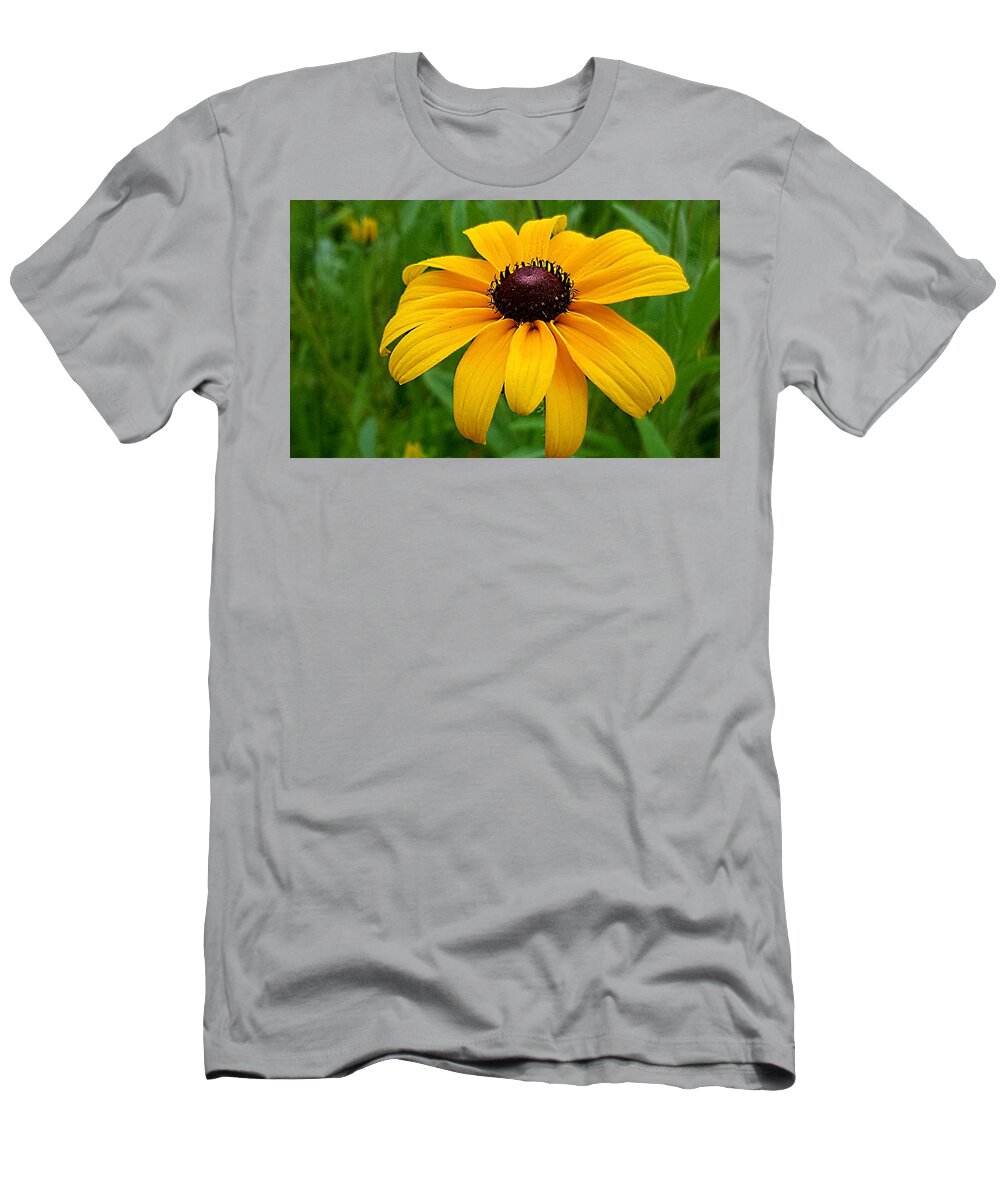 Lupins T-Shirt featuring the photograph Black Eyed Susan by Michael Graham
