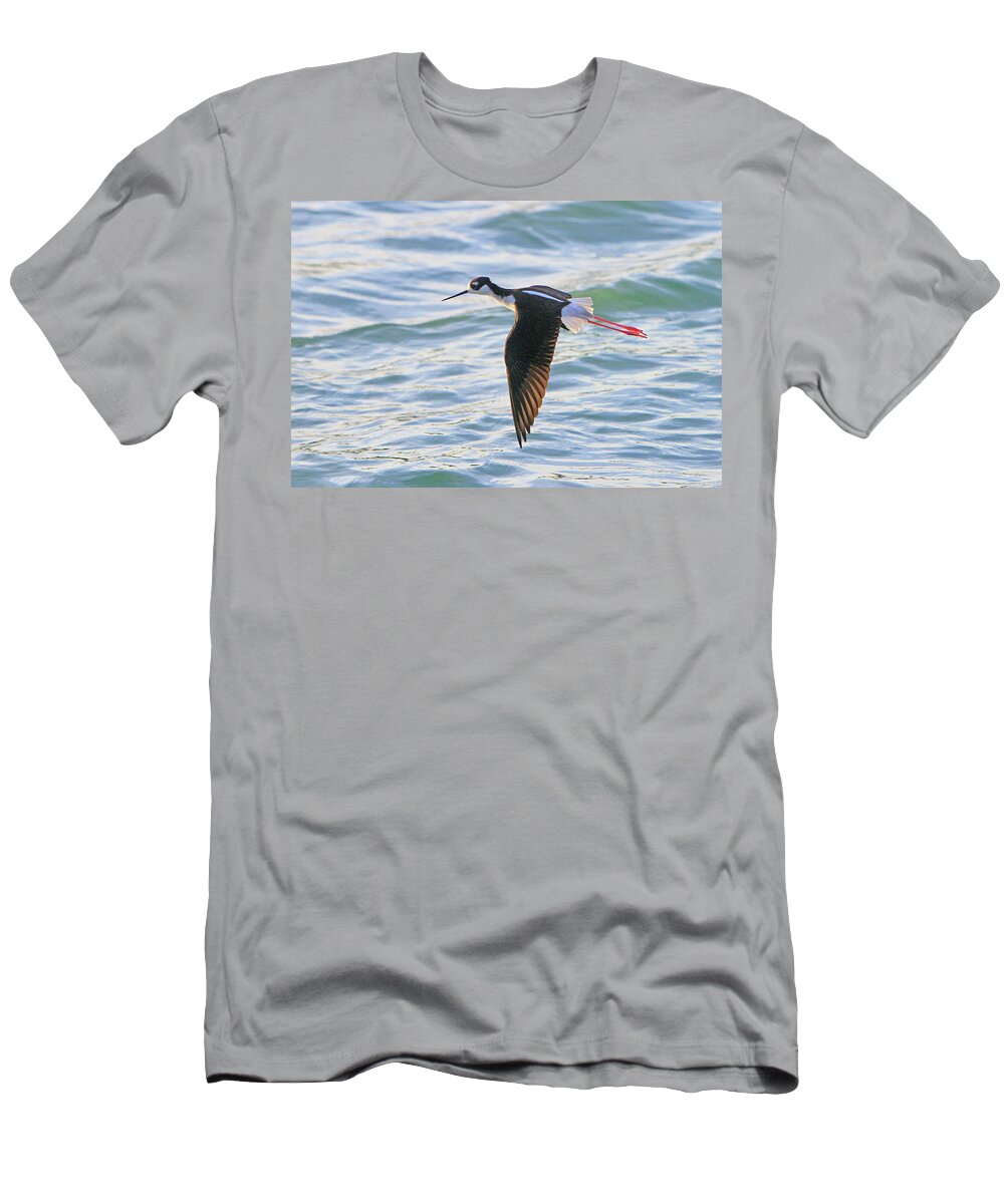 Bird T-Shirt featuring the photograph Black-necked Stilt 8 by Shoal Hollingsworth