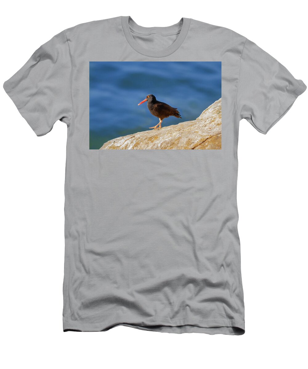 Mark Miller Photos T-Shirt featuring the photograph Black Oystercatcher Seaside by Mark Miller