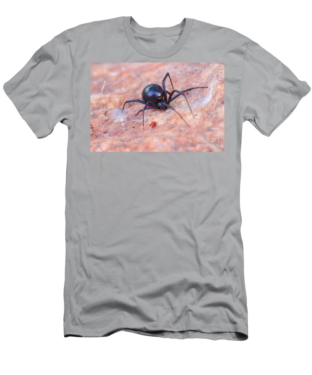 James Smullins T-Shirt featuring the photograph Black widow spider by James Smullins