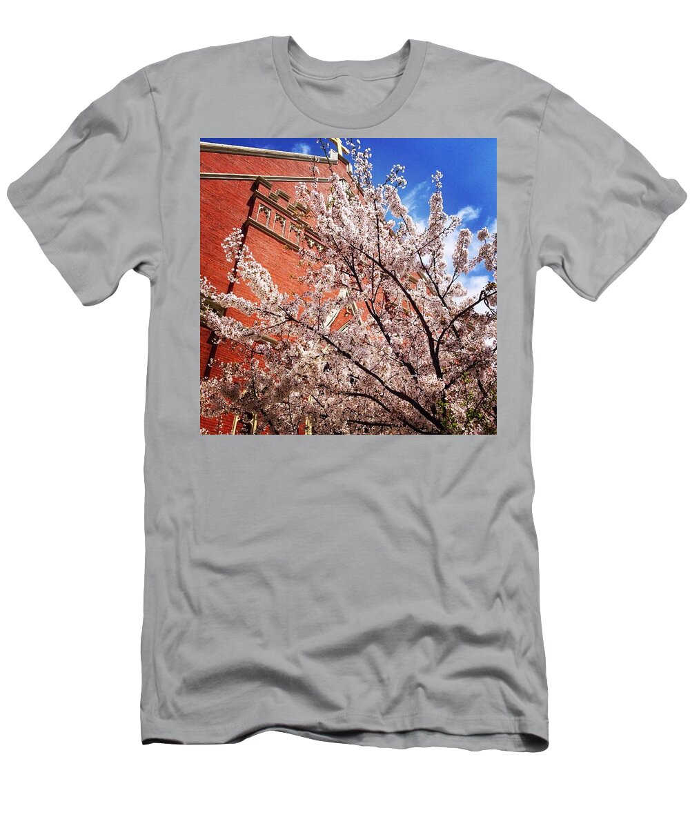  T-Shirt featuring the photograph Bless🆙 For Spring😎🙏🌸⛪️ by Ryan Johnston