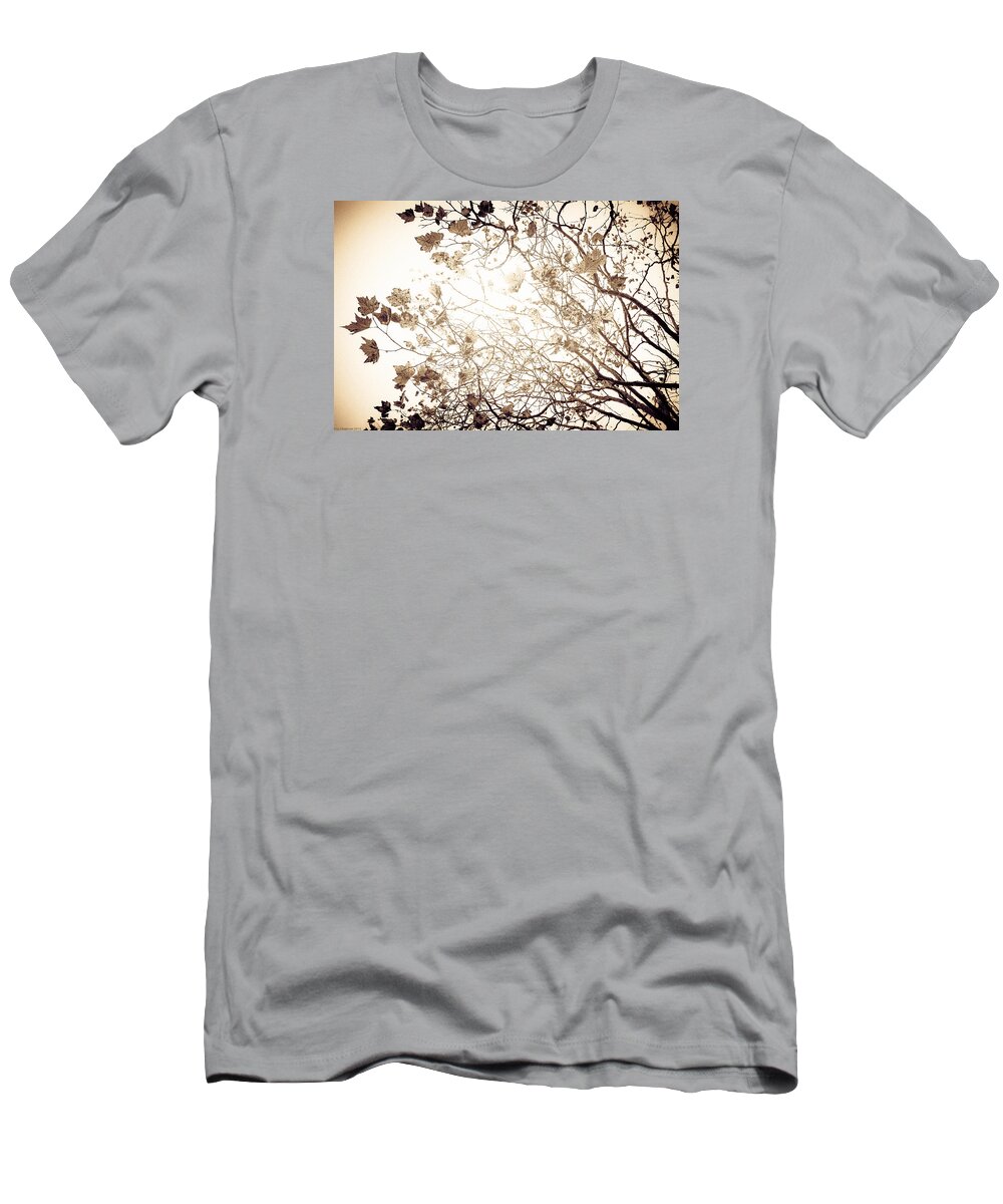 Tree T-Shirt featuring the photograph Blinding Sun by Lora Lee Chapman