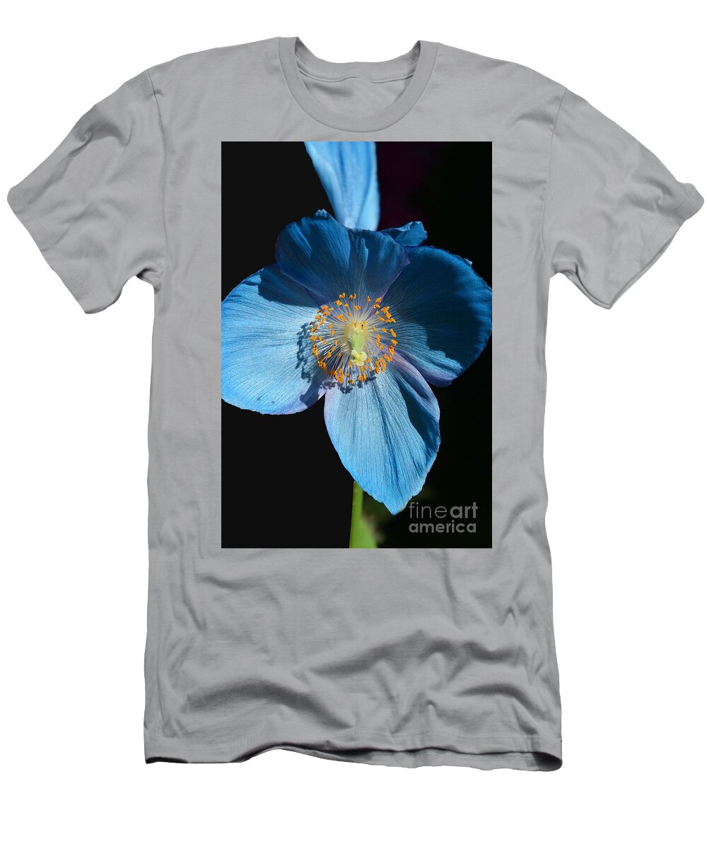 Poppy T-Shirt featuring the photograph Blue Cross by Cindy Manero