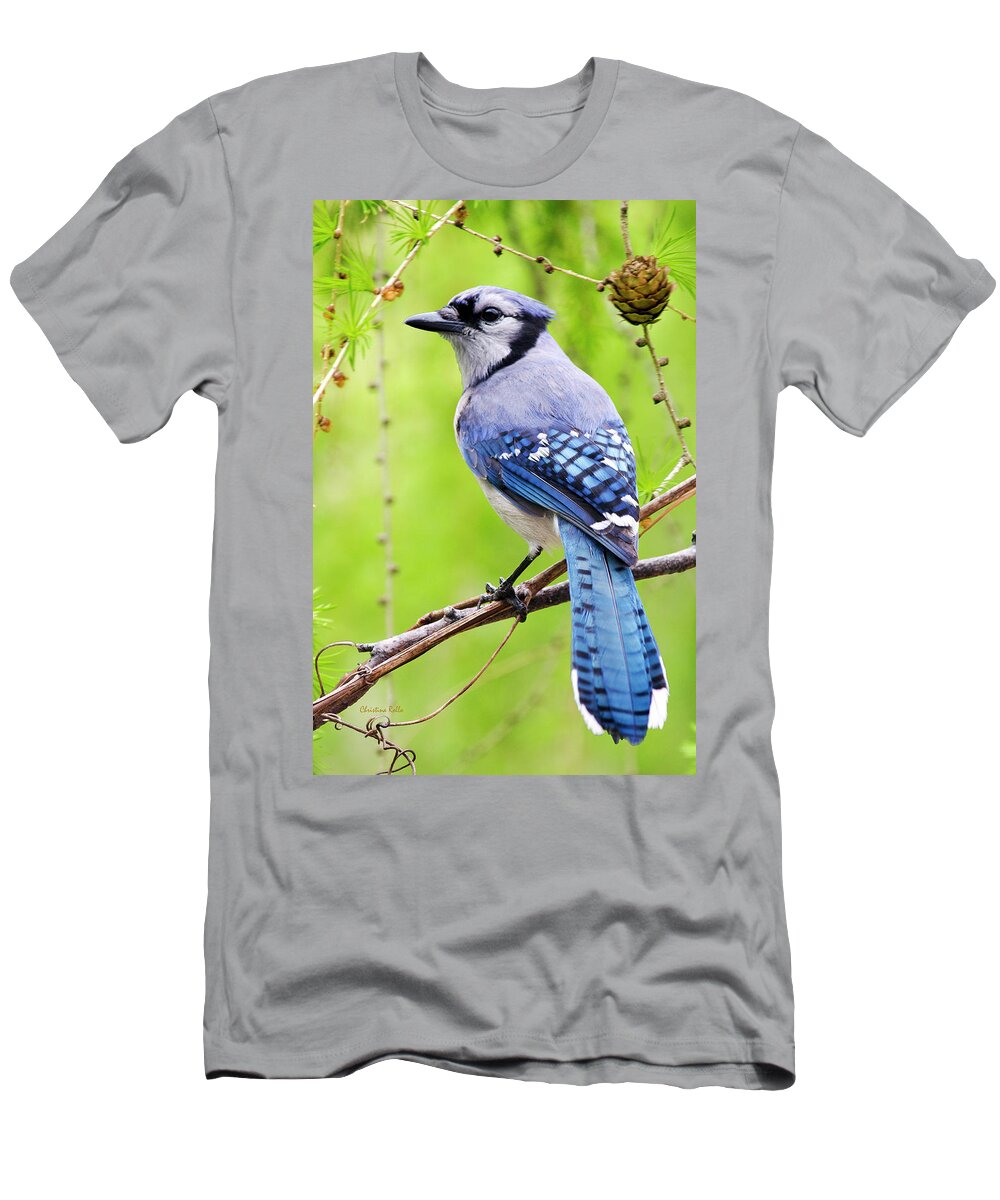 Blue Jay T-Shirt featuring the photograph Blue Jay Bird by Christina Rollo