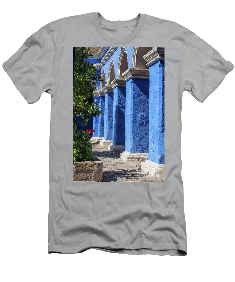 Still Life T-Shirt featuring the photograph Blue monastery by Patricia Hofmeester