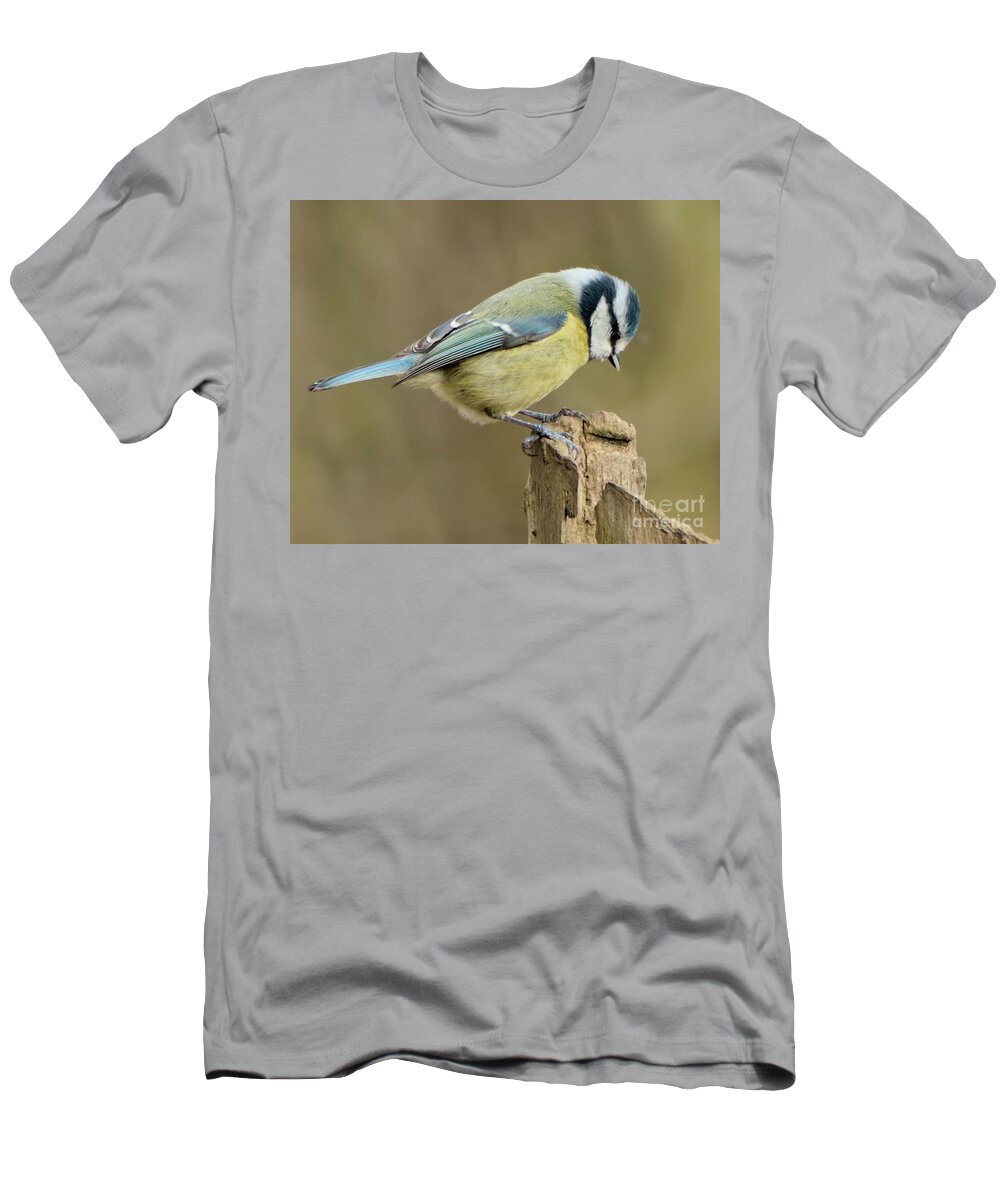 Bird T-Shirt featuring the photograph Blue Tit 2 by Stephen Melia