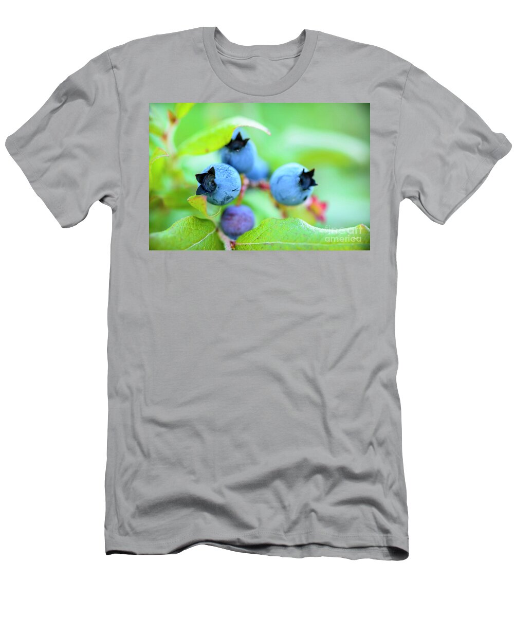 Maine Wild Blueberries T-Shirt featuring the photograph Blueberries Up Close by Alana Ranney