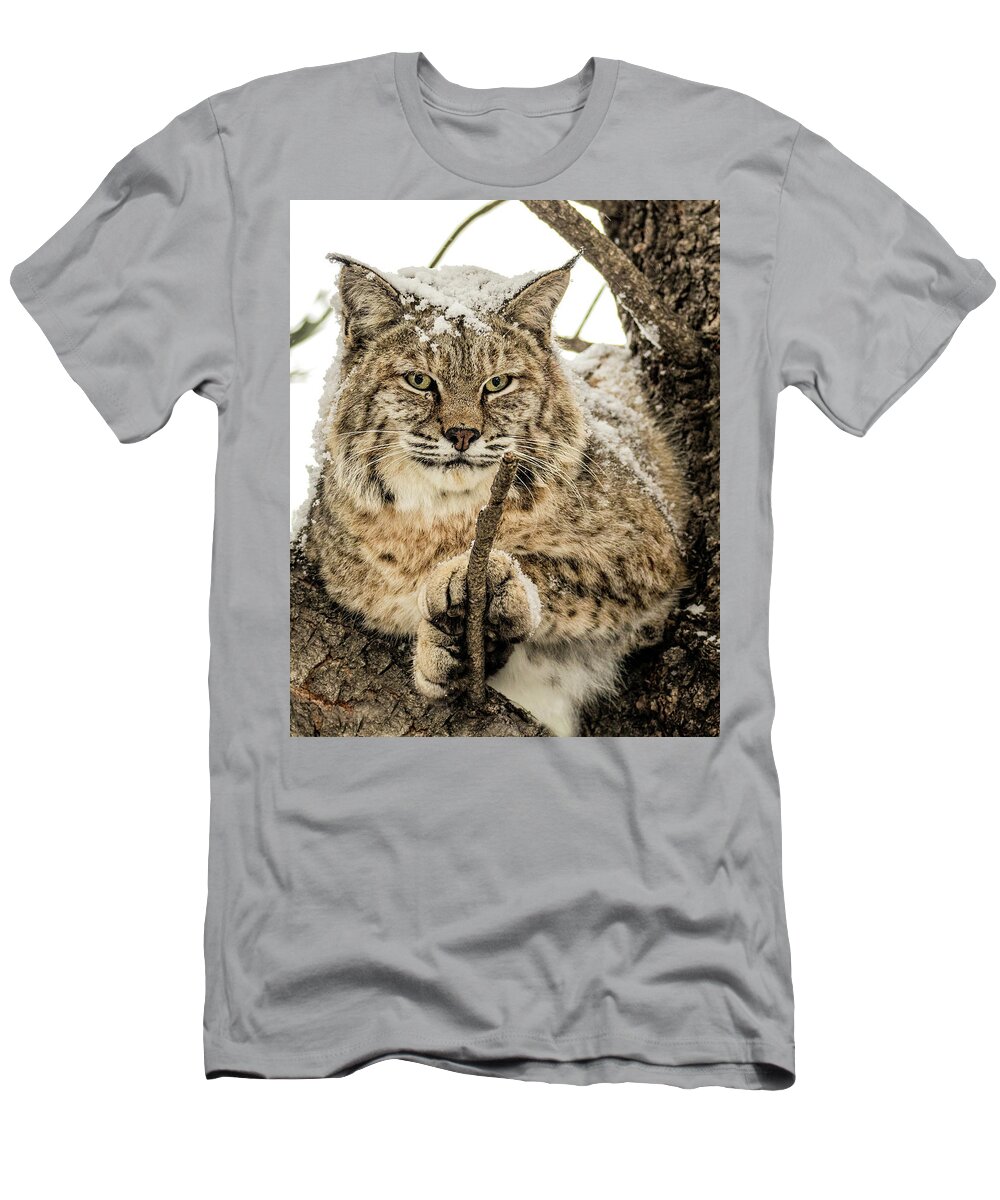 Categories T-Shirt featuring the photograph Bobcat Paws. by Dawn Key