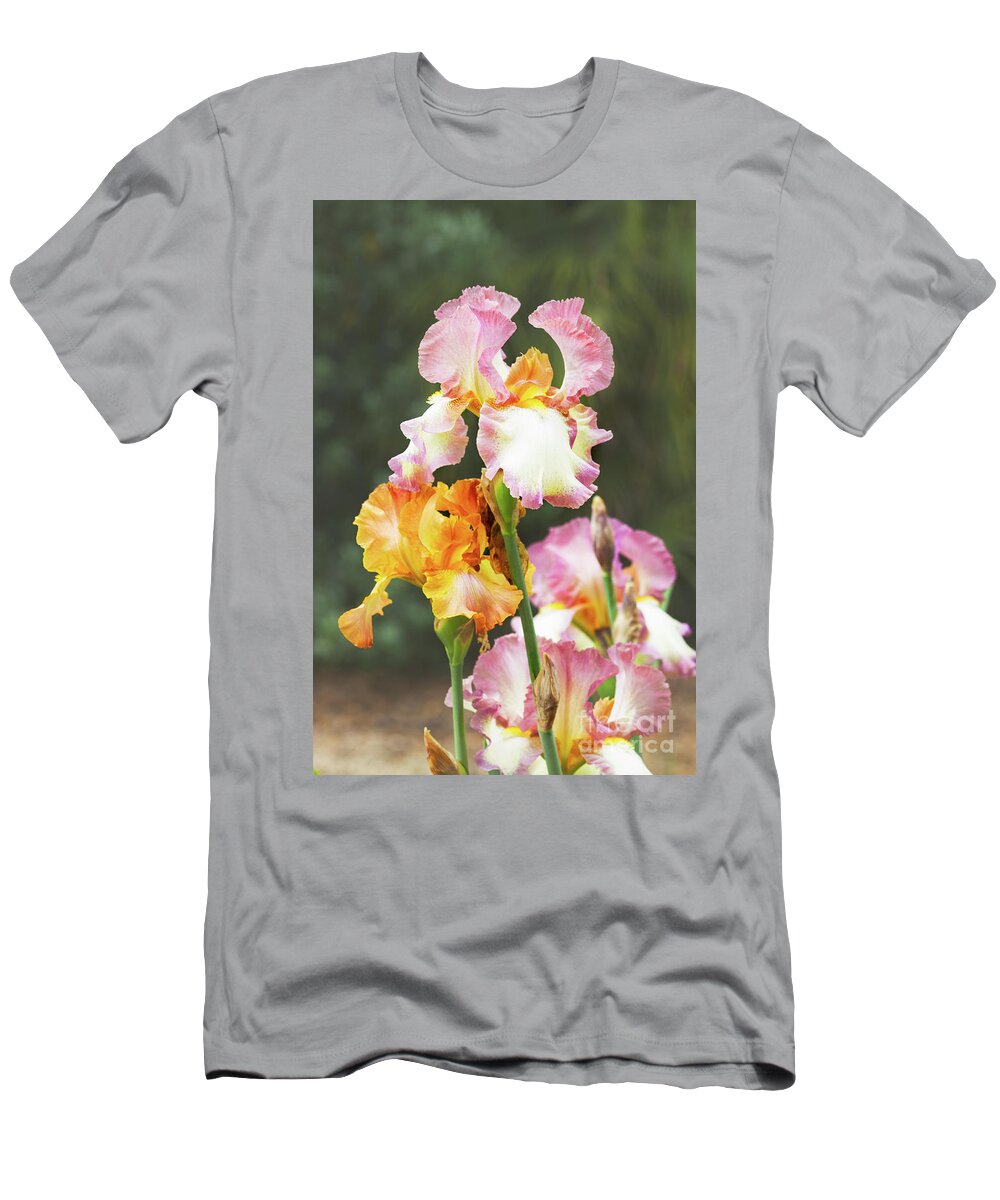 Iris T-Shirt featuring the photograph Booming Pink and Orange Irises by Anastasy Yarmolovich