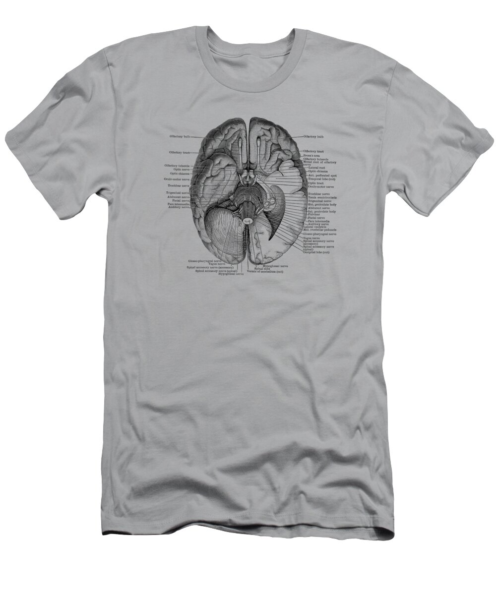 Brain T-Shirt featuring the drawing Brain Nervous System Diagram - Vintage Anatomy by Vintage Anatomy Prints