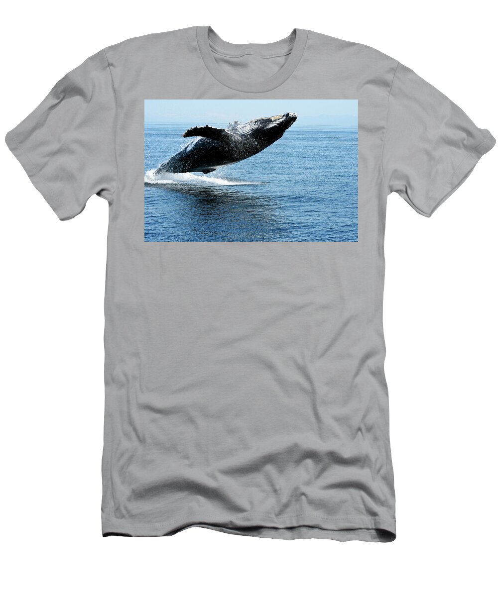 Alaska T-Shirt featuring the photograph Breaching humpback whales Happy-2 by Steve Darden