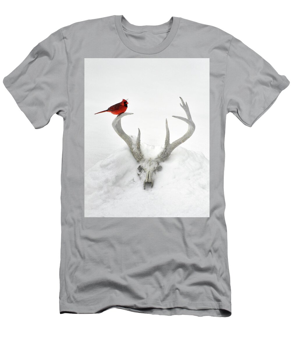 Nature T-Shirt featuring the photograph Buck And Cardinal by Garrett Sheehan