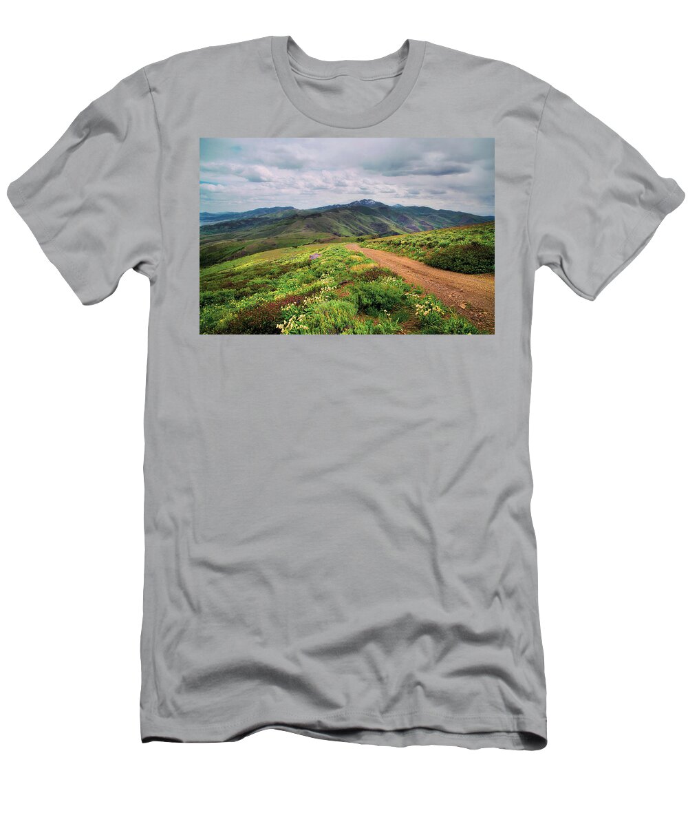 Nevada T-Shirt featuring the photograph Buckskin Cyn June-3116-R1 by Karen W Meyer
