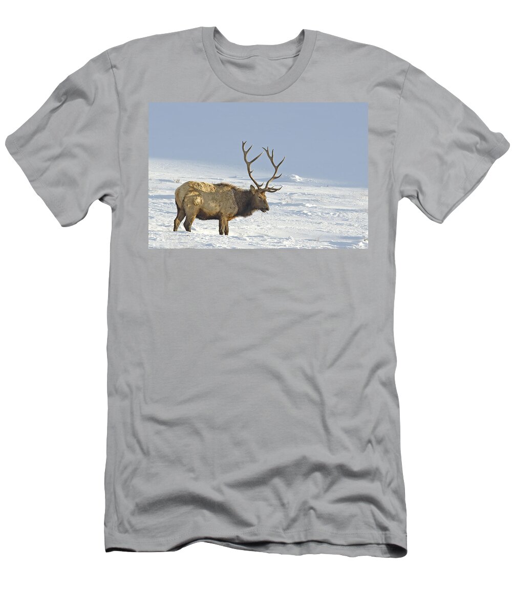 Elk T-Shirt featuring the photograph Bull Elk In Snow by Gary Beeler
