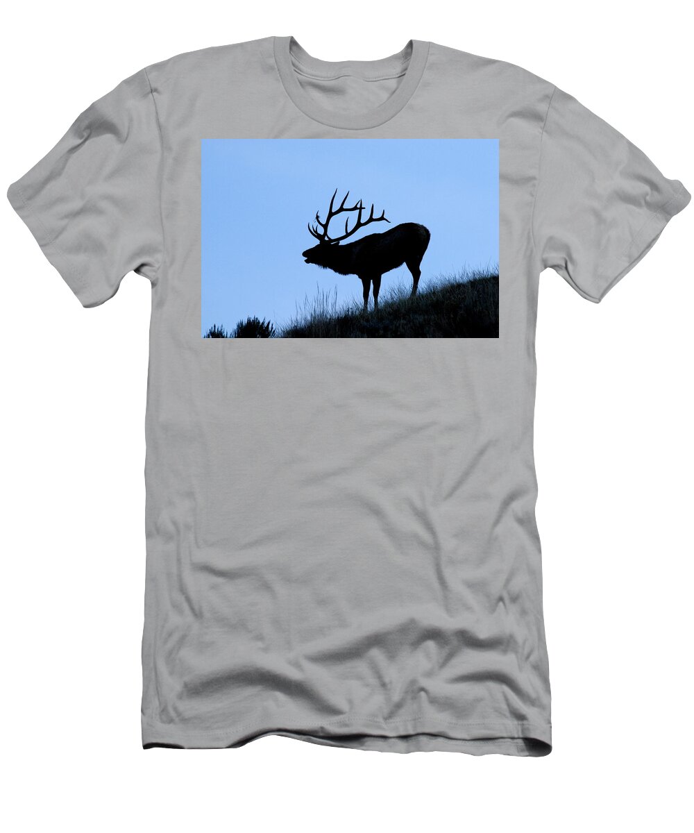 Yellowstone National Park T-Shirt featuring the photograph Bull Elk Silhouette by Larry Ricker