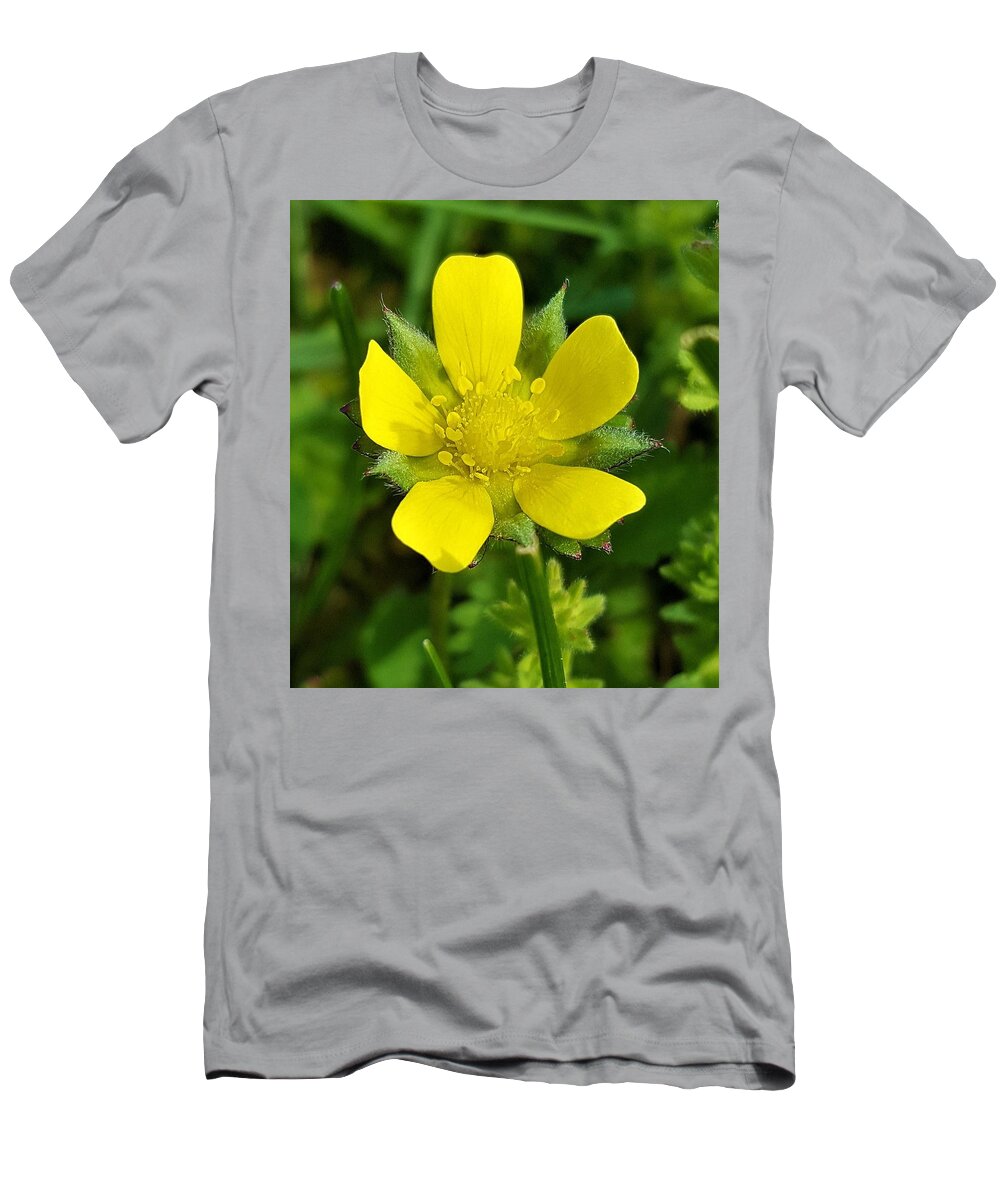 Buttercup T-Shirt featuring the photograph Buttercup by Jim Harris