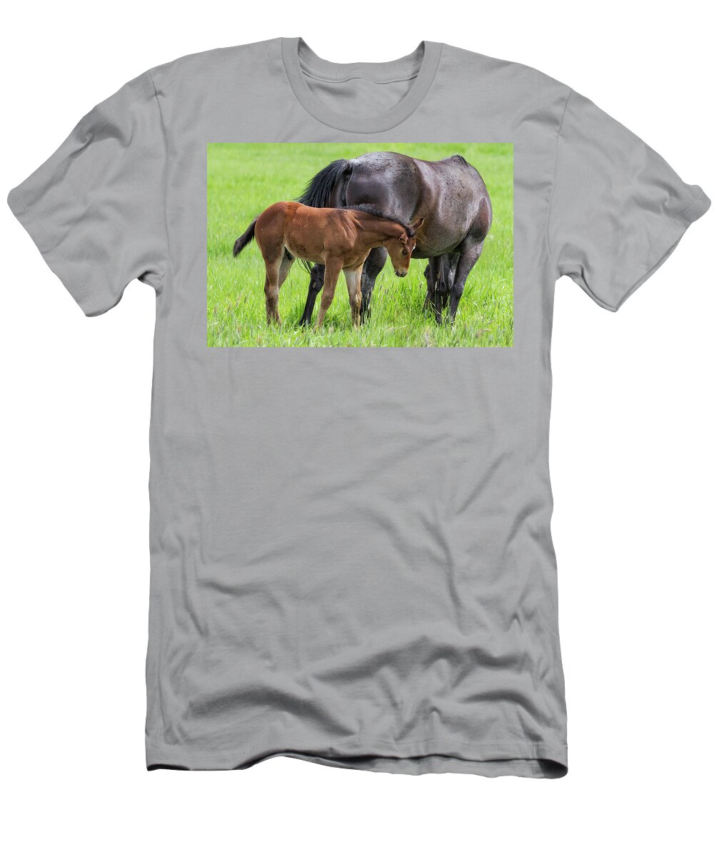 Horses T-Shirt featuring the photograph By Mother's Side by Belinda Greb