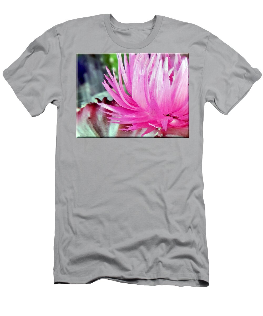 Flower T-Shirt featuring the photograph Cactus Flower by Mikki Cucuzzo