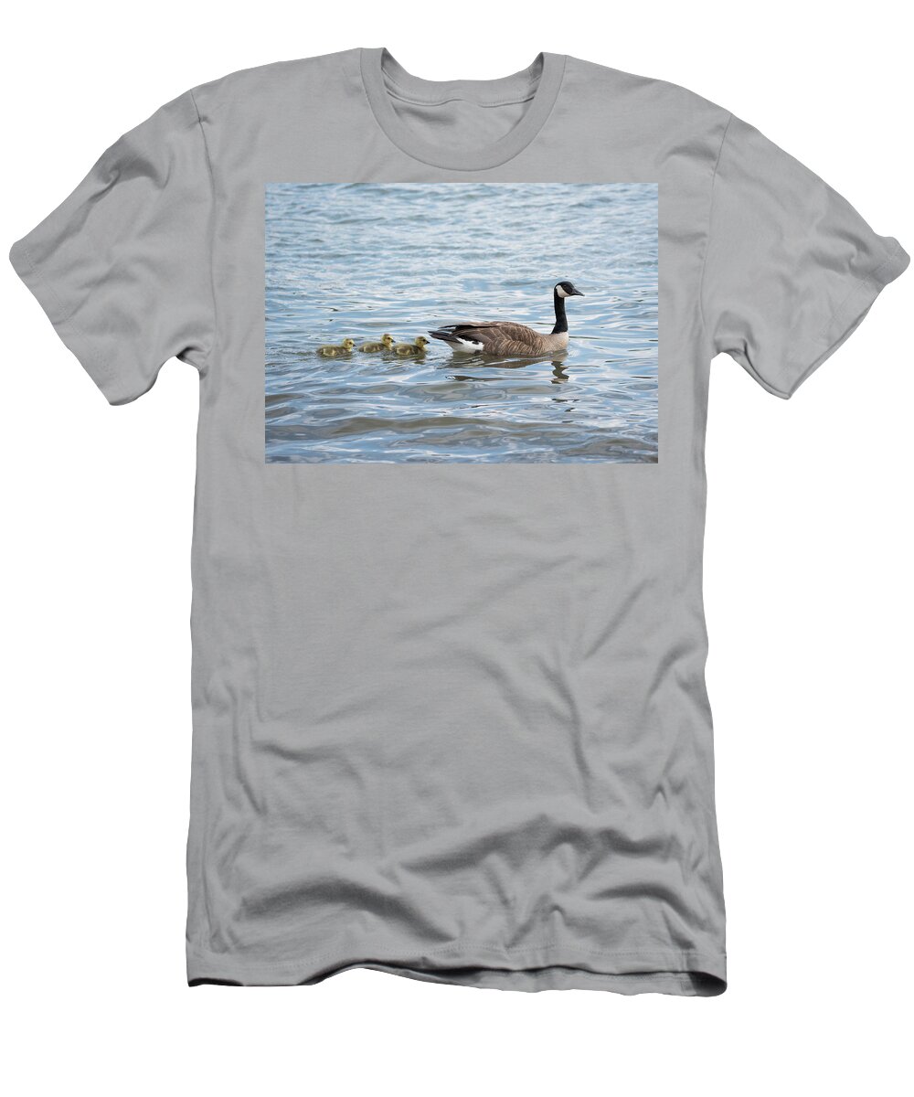 Goose T-Shirt featuring the photograph Canada Goose With Its Goslings by Holden The Moment
