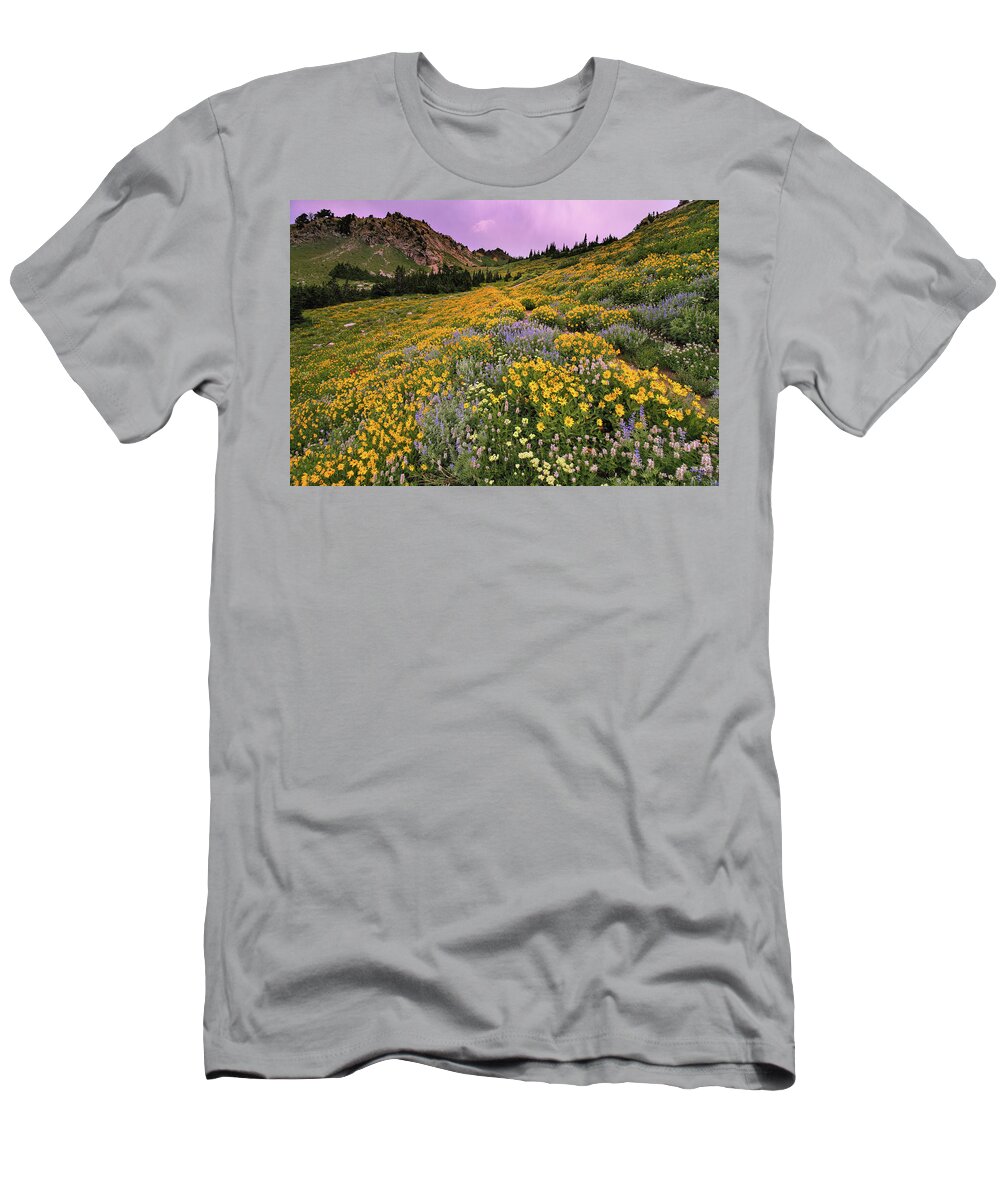 Utah T-Shirt featuring the photograph Cardiff Pass Sunset and Wildflowers - Alta, Utah by Brett Pelletier