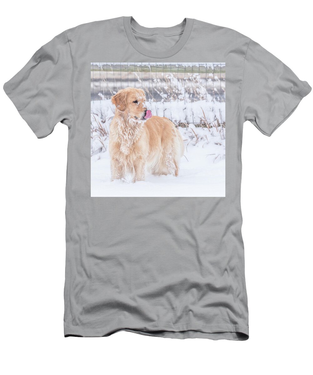 Golden Retriever T-Shirt featuring the photograph Catching Snowflakes by Jennifer Grossnickle