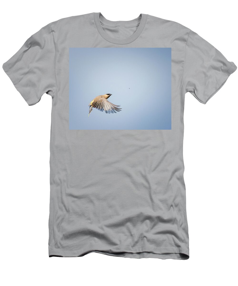 Birds In Flight T-Shirt featuring the photograph Cedar Waxwing in Flight by Bill Wakeley