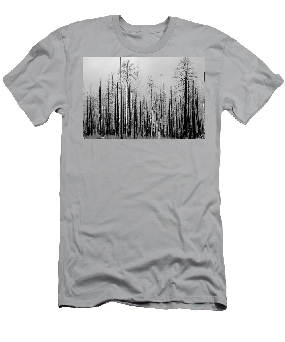 Charred T-Shirt featuring the photograph Charred Trees by James BO Insogna