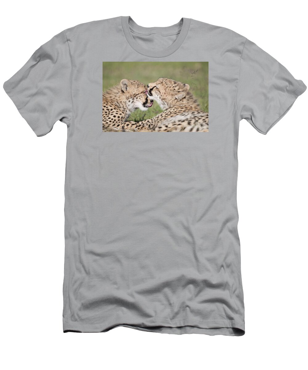 00486730 T-Shirt featuring the photograph Cheetah Cubs Licking by Tui De Roy