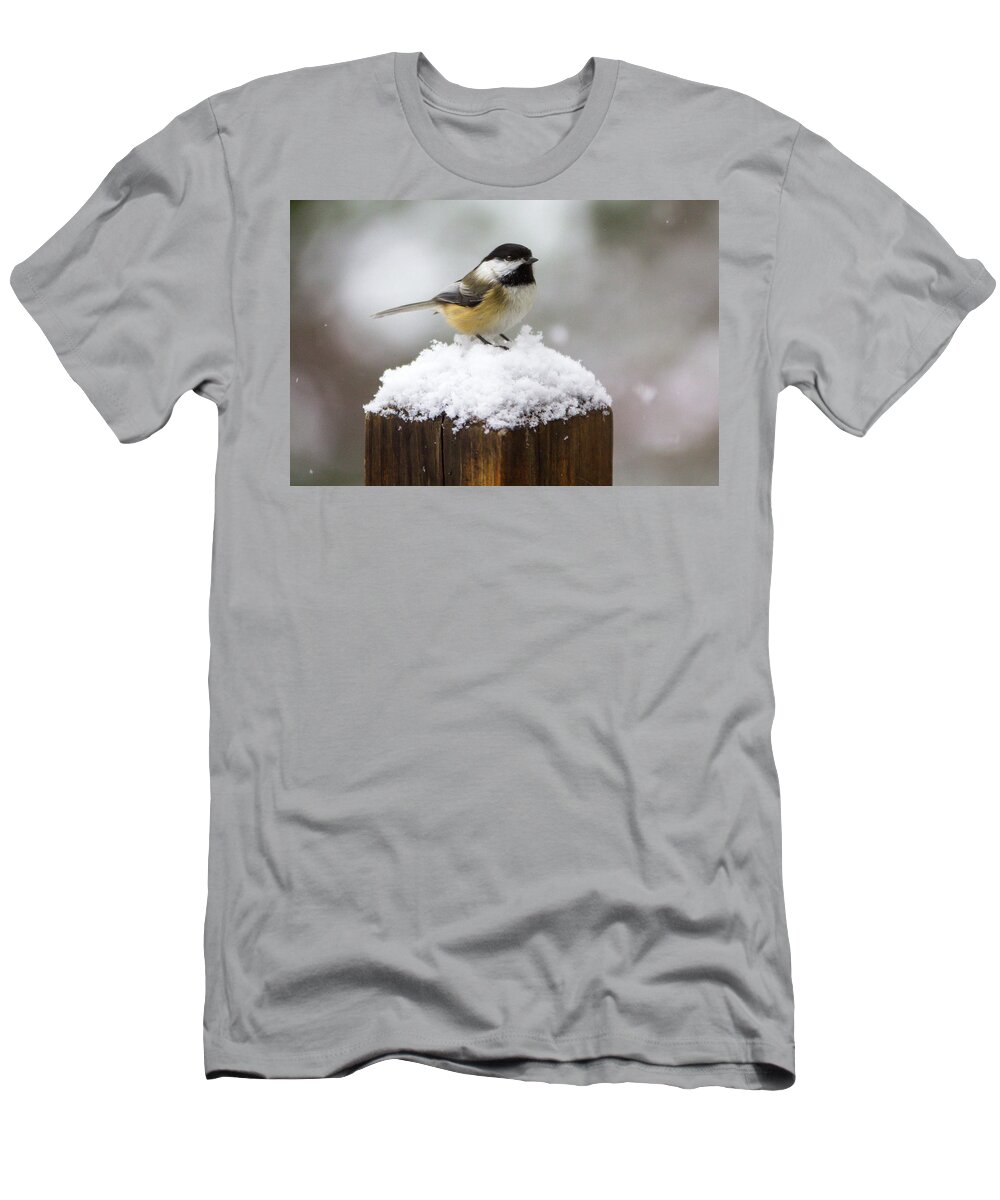 Bird T-Shirt featuring the photograph Chickadee in the Snow by Darryl Hendricks