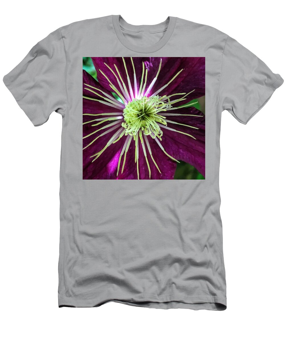Purple T-Shirt featuring the photograph Clematis by Eric Suchman