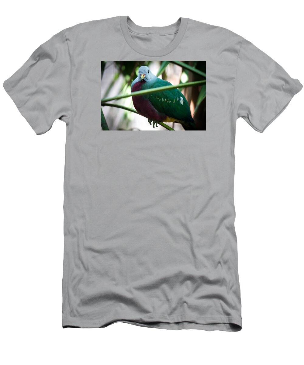 Wild Birds T-Shirt featuring the photograph Color me Plump by Aaron Potts