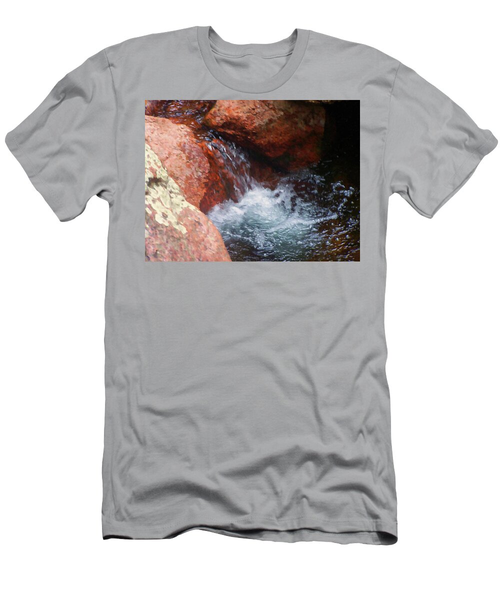 Home Decor T-Shirt featuring the painting Colorado Springs area Digital Oil #37 by Flees Photos