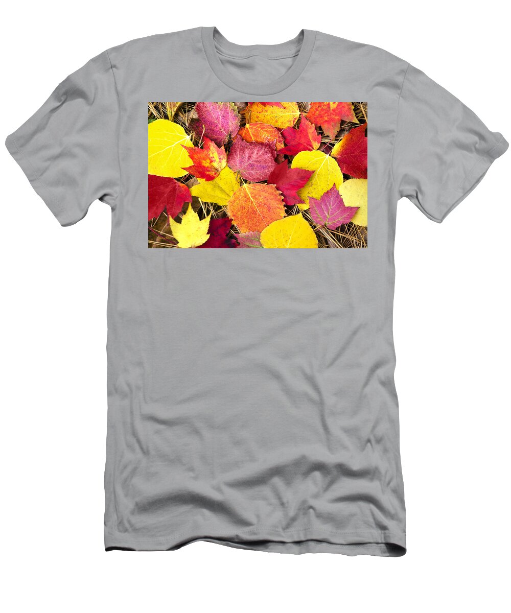 Fall Leaves T-Shirt featuring the photograph Colorful Autumn Leaves by Christina Rollo