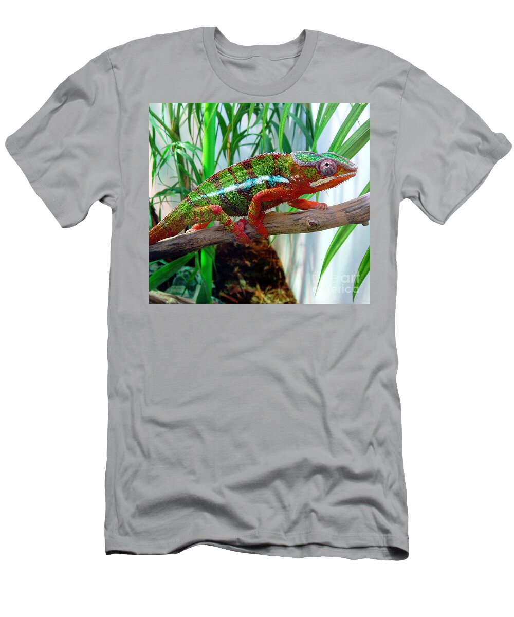 Chameleon T-Shirt featuring the photograph Colorful Chameleon by Nancy Mueller