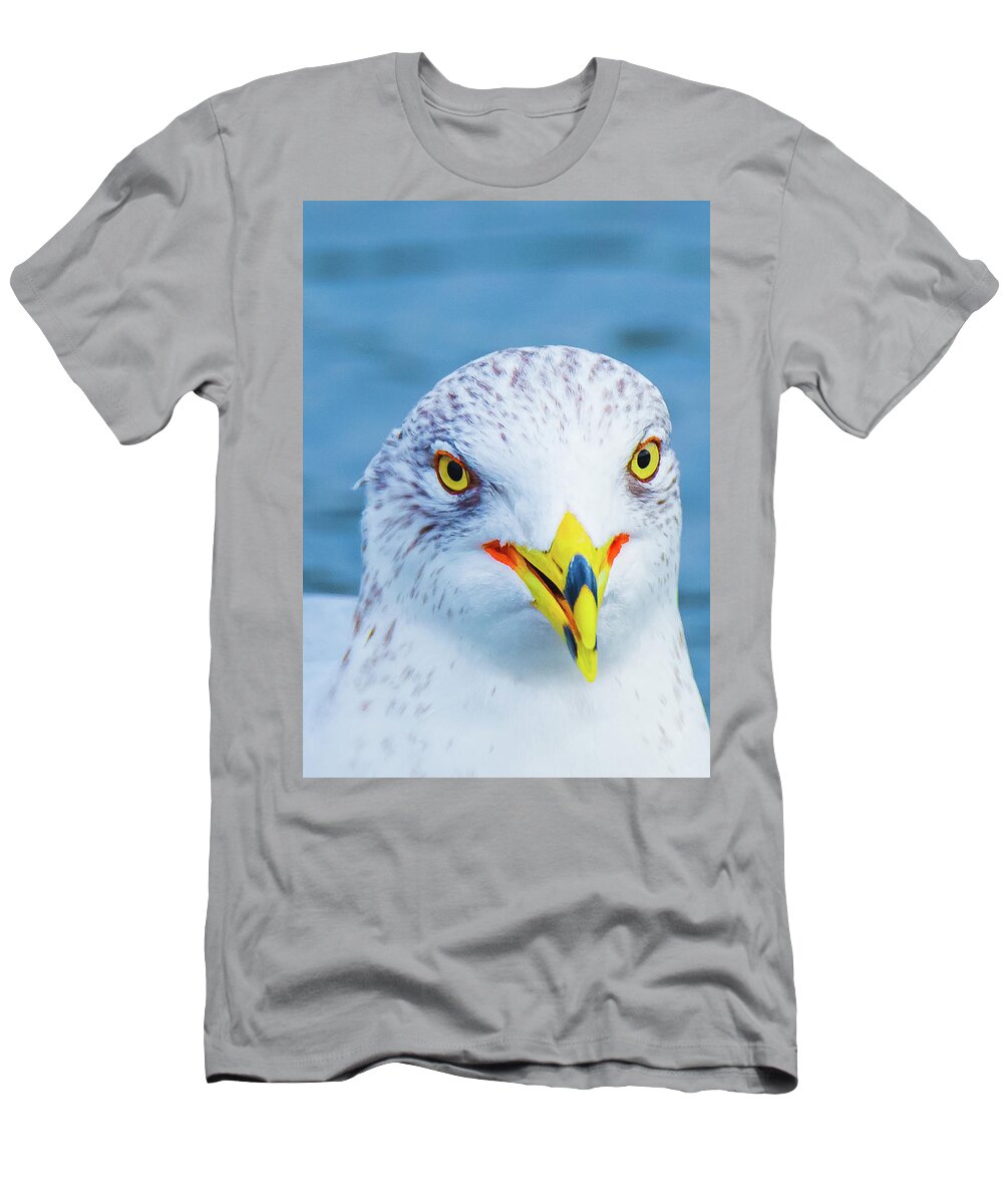 20170128 T-Shirt featuring the photograph Colorful Seagull Smiling by Jeff at JSJ Photography